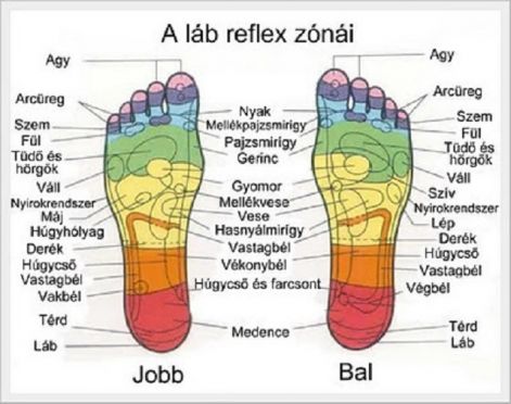 talp-reflex_terkep.jpg
